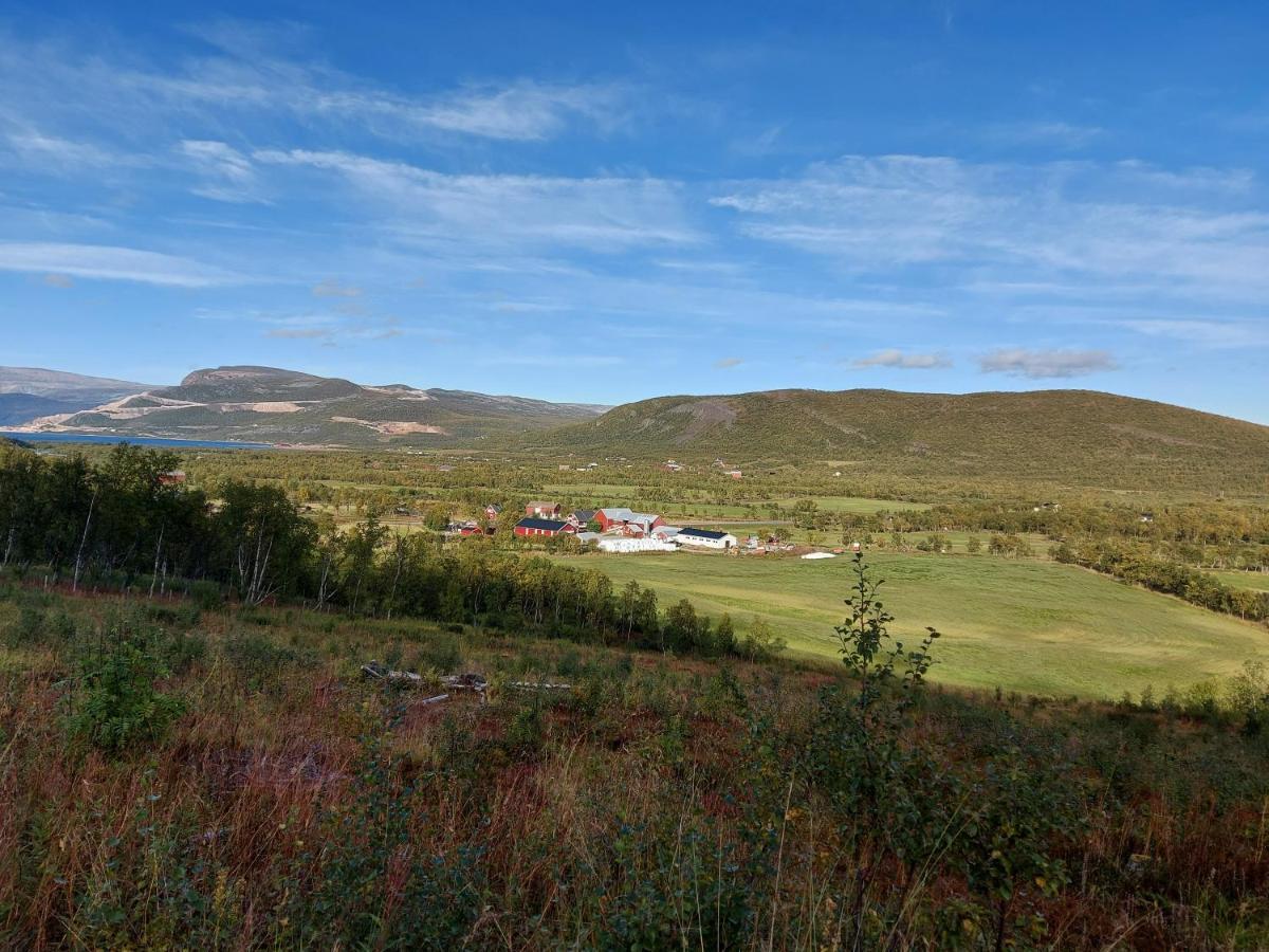 Austertanakrystallen By Pure Lifestyle Arctic Eksteriør bilde