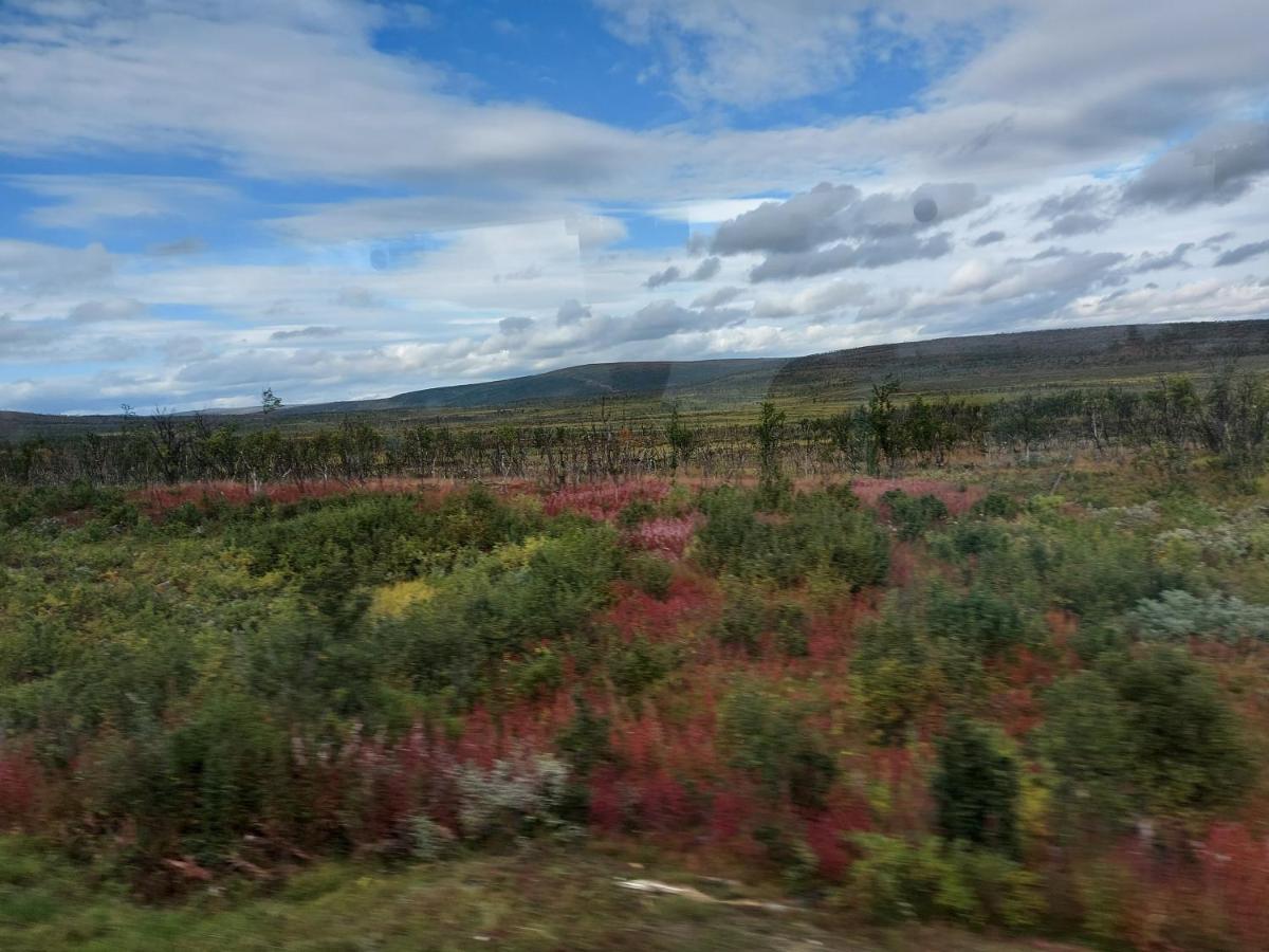 Austertanakrystallen By Pure Lifestyle Arctic Eksteriør bilde
